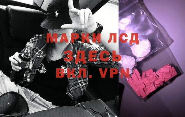 герыч Арсеньев
