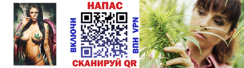 Бошки Шишки ГИДРОПОН  Нарткала 